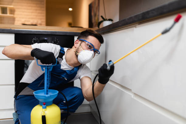 Best Residential Pest Control  in Gower, MO