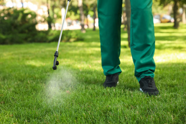 Best Mosquito Control Services  in Gower, MO