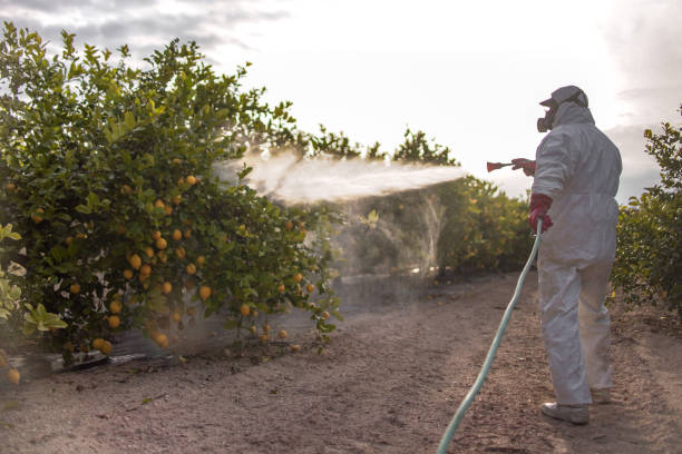 Best Commercial Pest Control Services  in Gower, MO