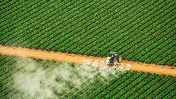 Pest Prevention Services in Gower, MO