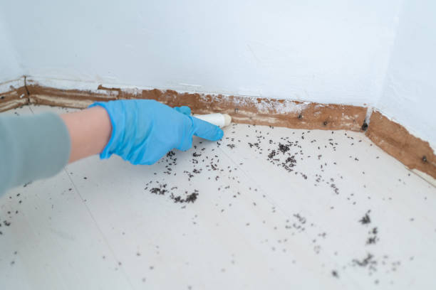 Professional Pest Control in Gower, MO