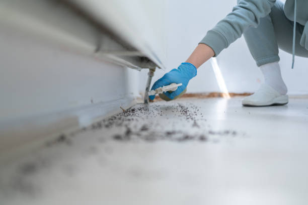 Pest Control for Restaurants in Gower, MO